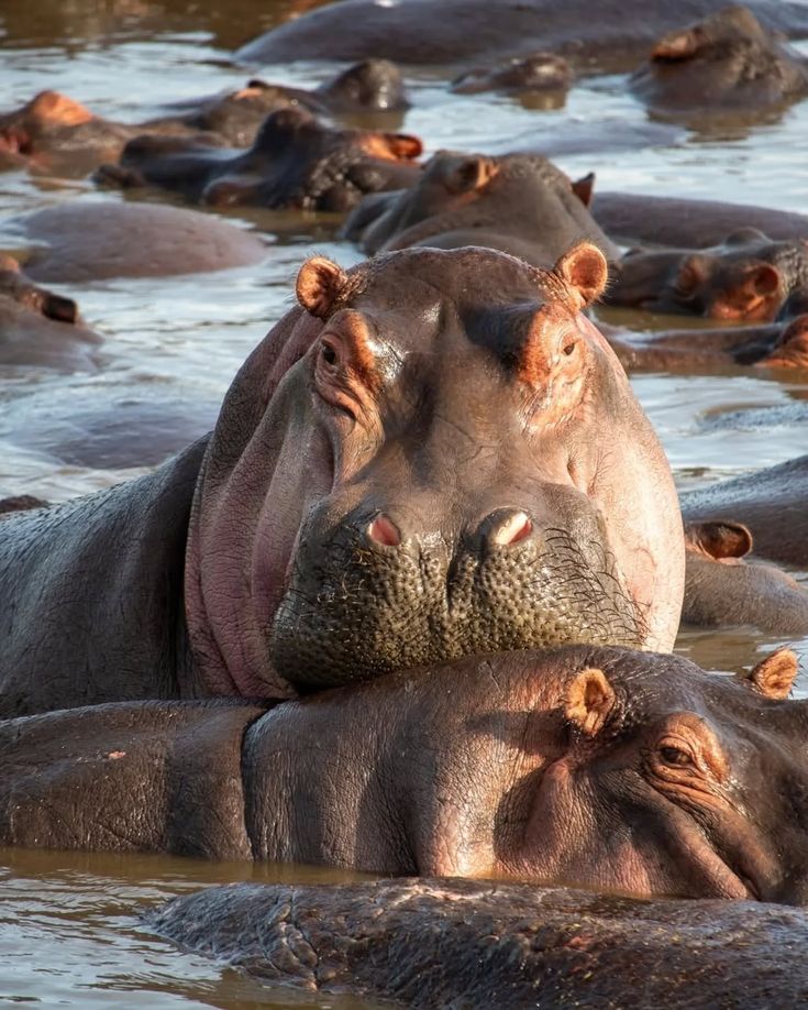 Lake Manyara National Park